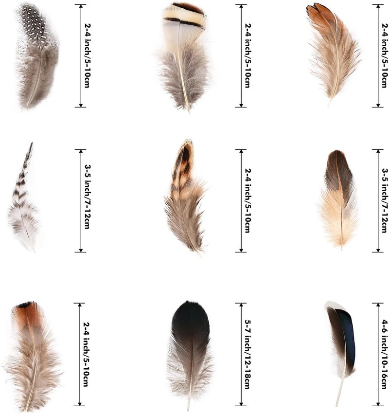 Daieeparty 270pcs Small Pheasant Feathers 9 Style Mixed Feathers Natural Feathers for Crafting Wedding Dream Catcher Hats Decoration - Image 2